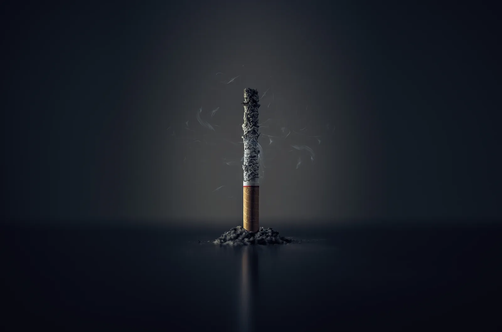 Single cigarette stick with ashes stick